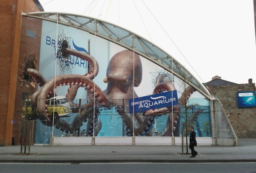 Bristol Aquarium giant octopus